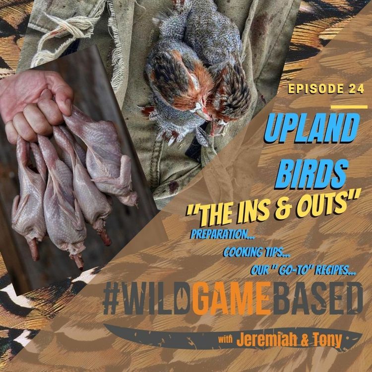 cover art for UPLAND BIRDS "The Ins & Outs" - Episode 24 - August 19, 2020