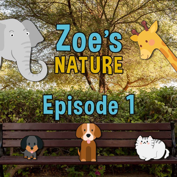 cover art for Welcome to Zoe's Nature