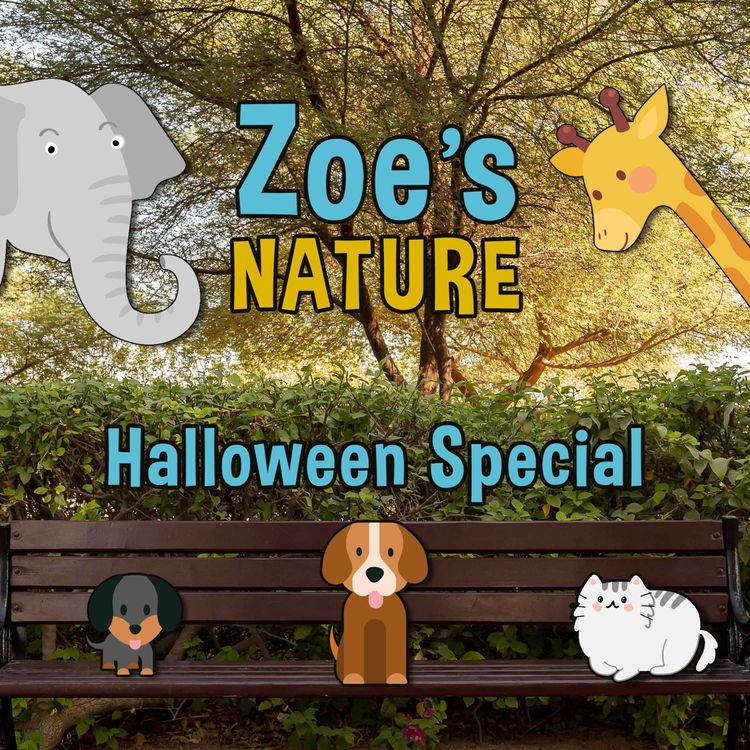 cover art for Zoe's Nature Ep4