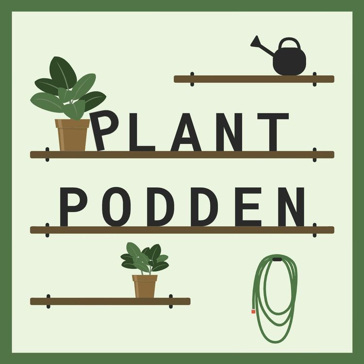 cover art for Plantpodden 004 | Palettbladslangaren