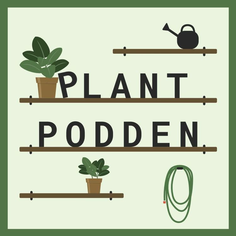 cover art for Plantpodden 003 | Plantor 101