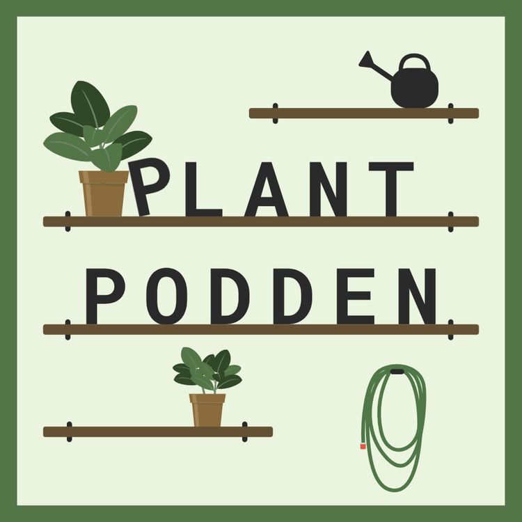 cover art for Plantpodden 002 | Krukor är som Underkläder