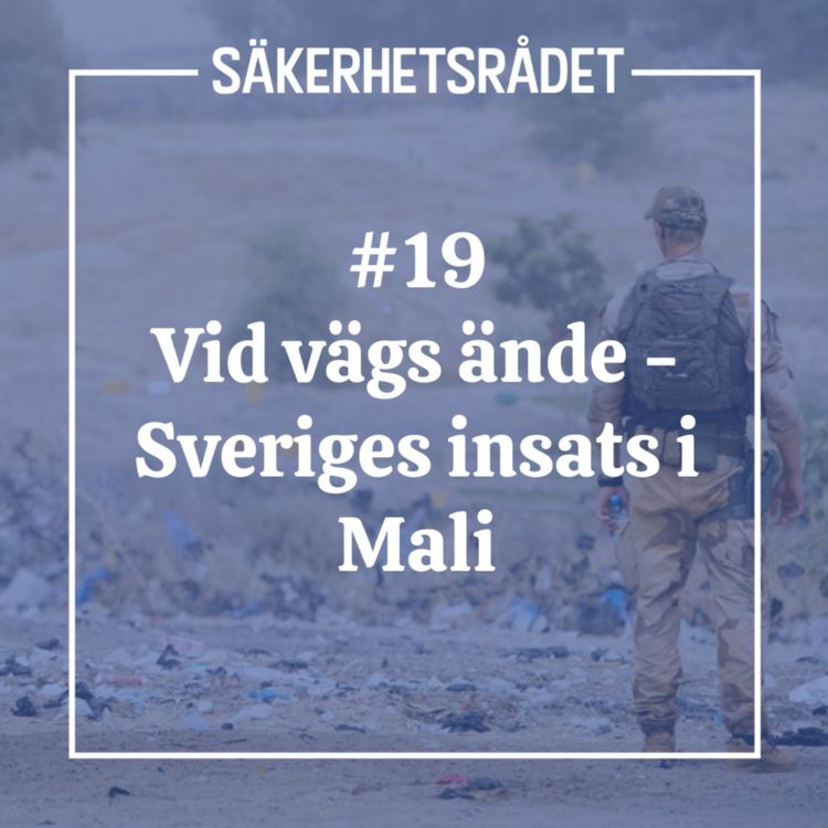 cover art for Vid vägs ände - Sveriges insats i Mali