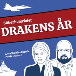 cover art for Säkerhetsrådet