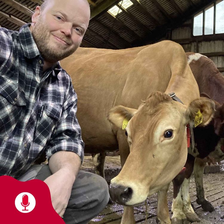 cover art for Ståle Hustoft om melkerobot i liten besetning