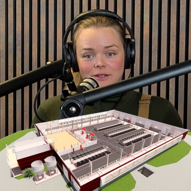 cover art for Nora Sandberg bygger drømmefjøset