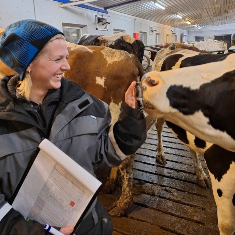 cover art for Slik lykkes du med Holstein-avl