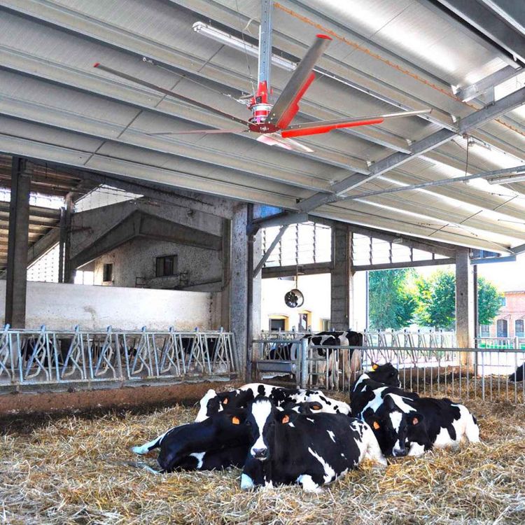 cover art for Varmestress på storfe