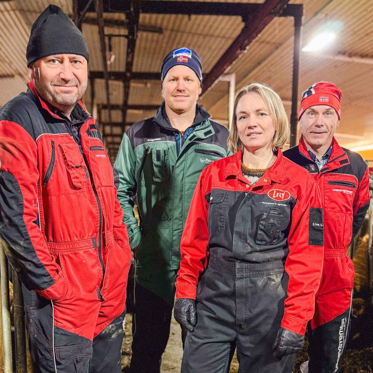 cover art for Reine okser – bedre økonomi og dyrevelferd