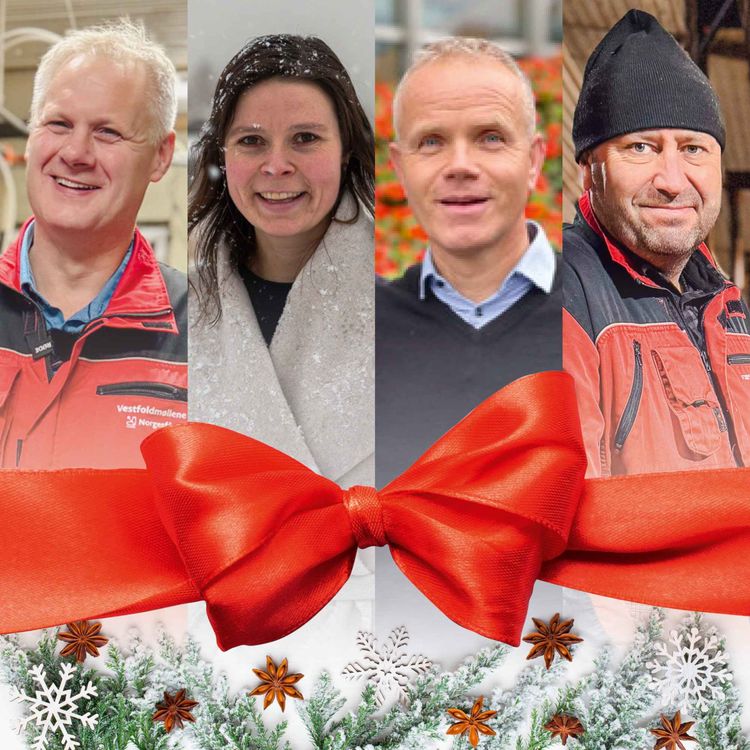 cover art for Grisepodden Julespesial 2025