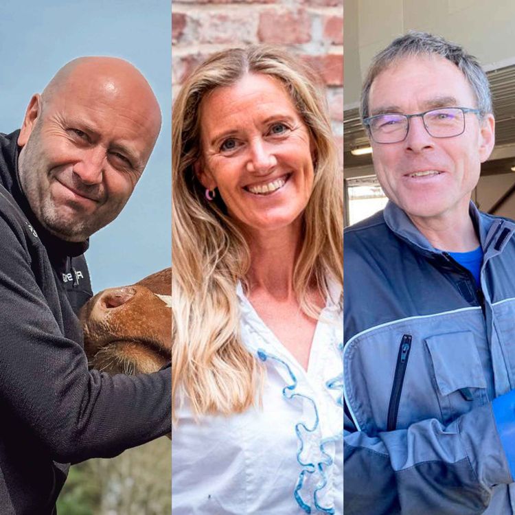 cover art for Fruktbarhetsmagasinet – Slik lykkes du med trivsel og gode rutiner i fjøset