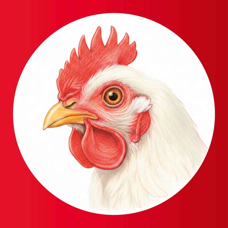 cover art for Fjørfepodden