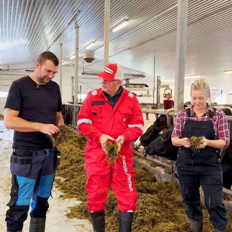 cover art for Slik kutter melkebøndene fôrkostnadene med iFMS