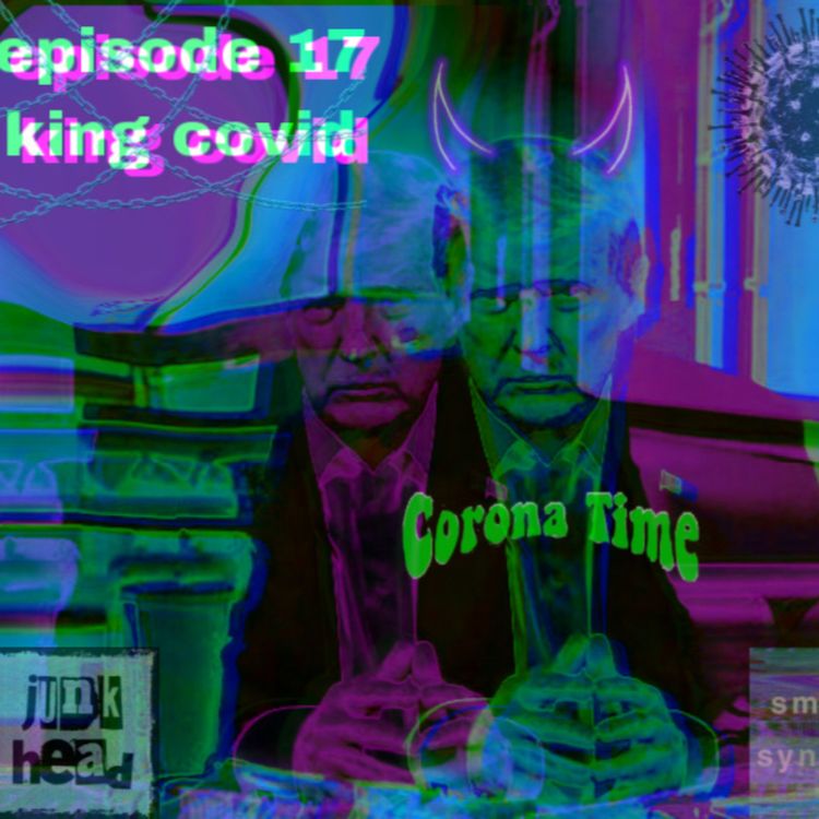 cover art for 17 - king covid