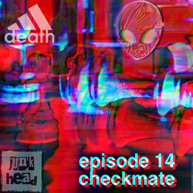 cover art for 14 - checkmate