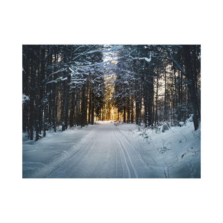 cover art for Julpodd