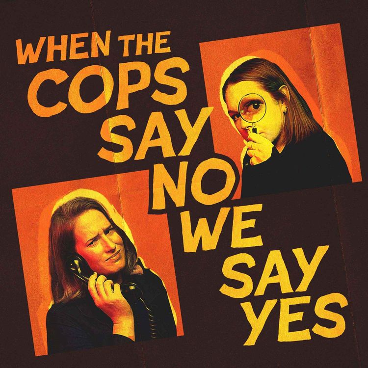 cover art for S3 E20 Boob Bandit - Part One