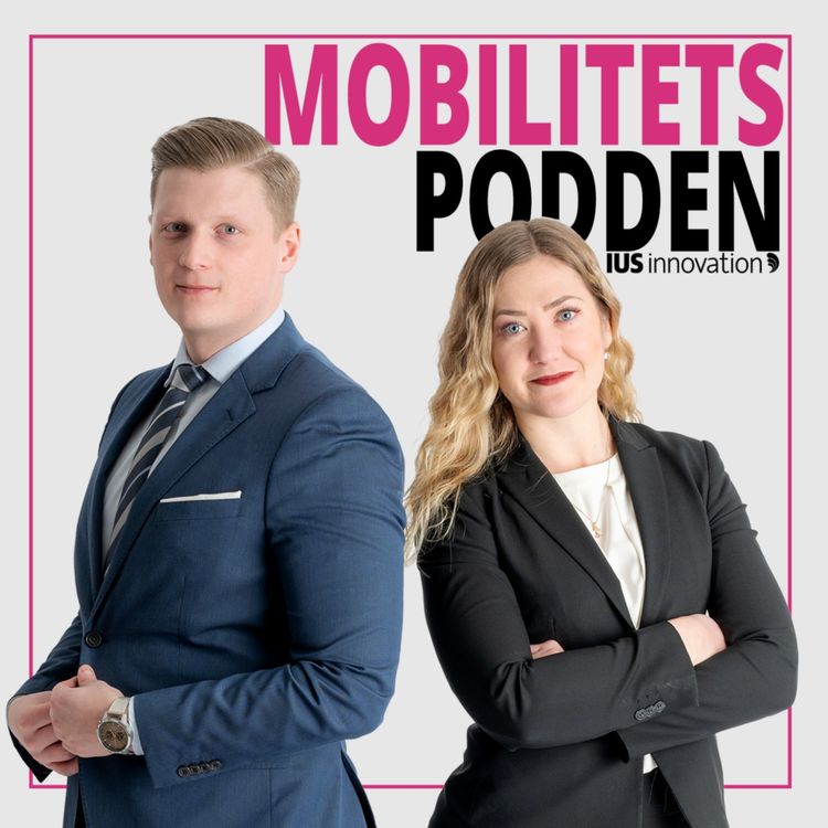 cover art for 13. Hållbarhet, hållbar utveckling, ekonomisk tillväxt och mer 