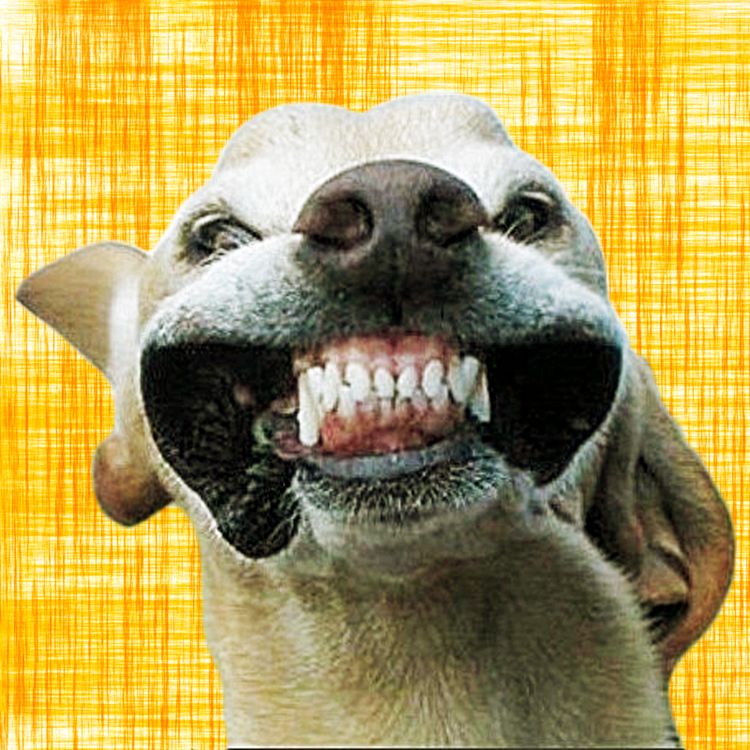 cover art for Lo exponencial que crece al carajo