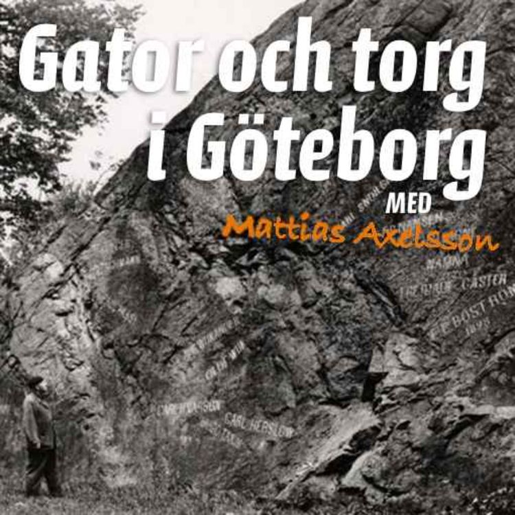 cover art for Hedlunds park