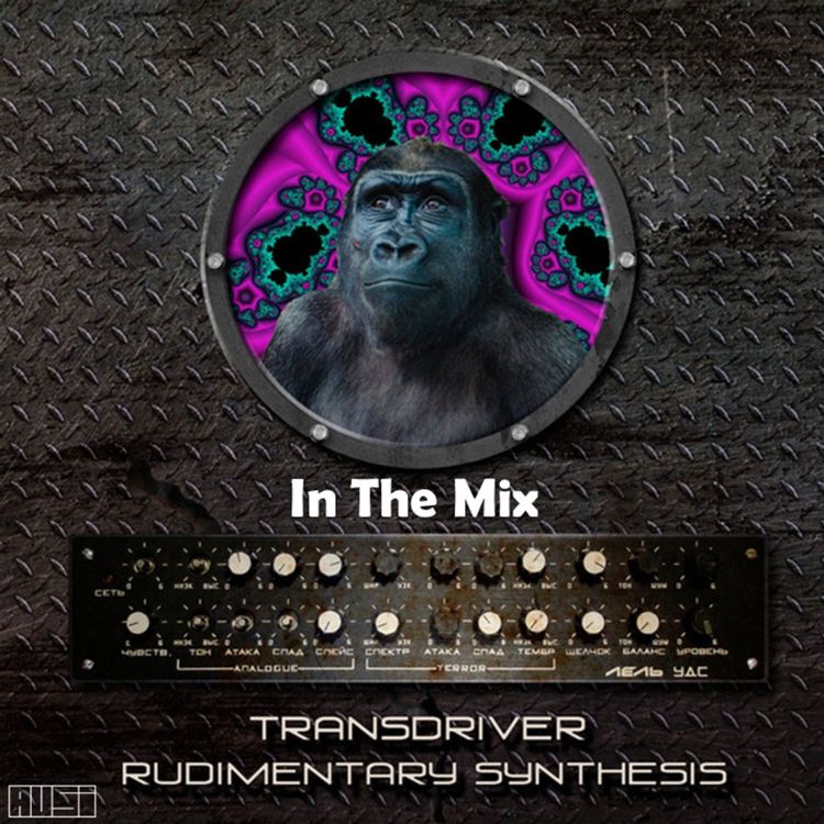 cover art for Transdriver – Rudimentary Synthesis (In The Mix)
