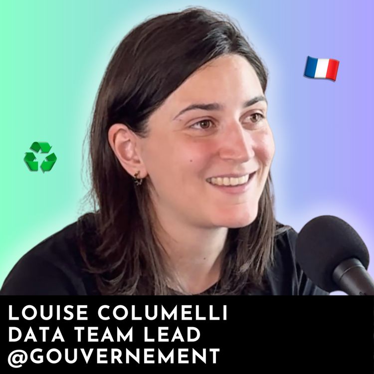 cover art for #240 - Lead Data au Ministère de la Transition Écologique