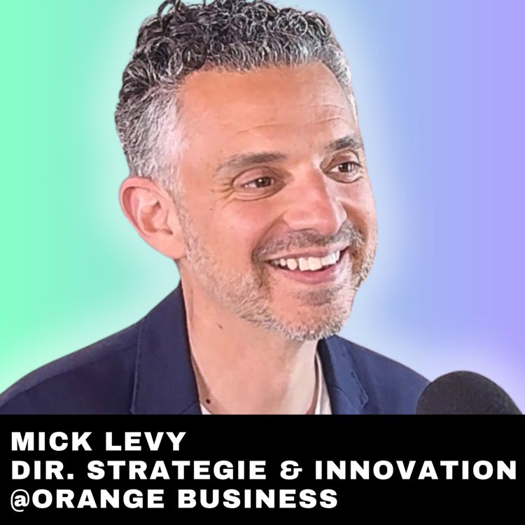 cover art for #282 - Mettre en place une stratégie IA souveraine et éthique avec Mick Levy