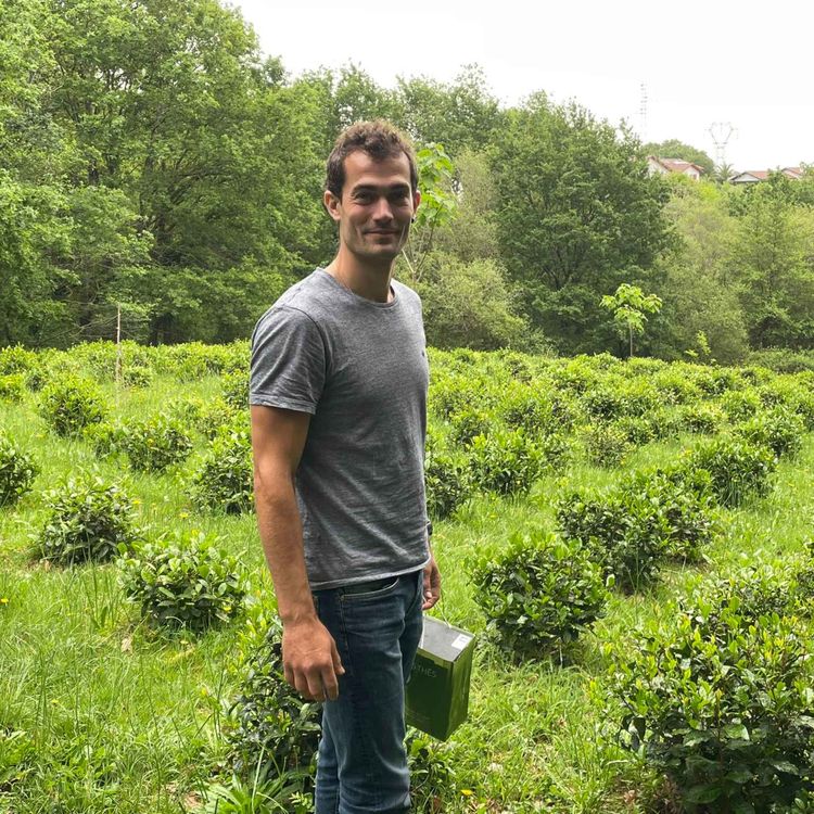 cover art for Les thés du Pays basque