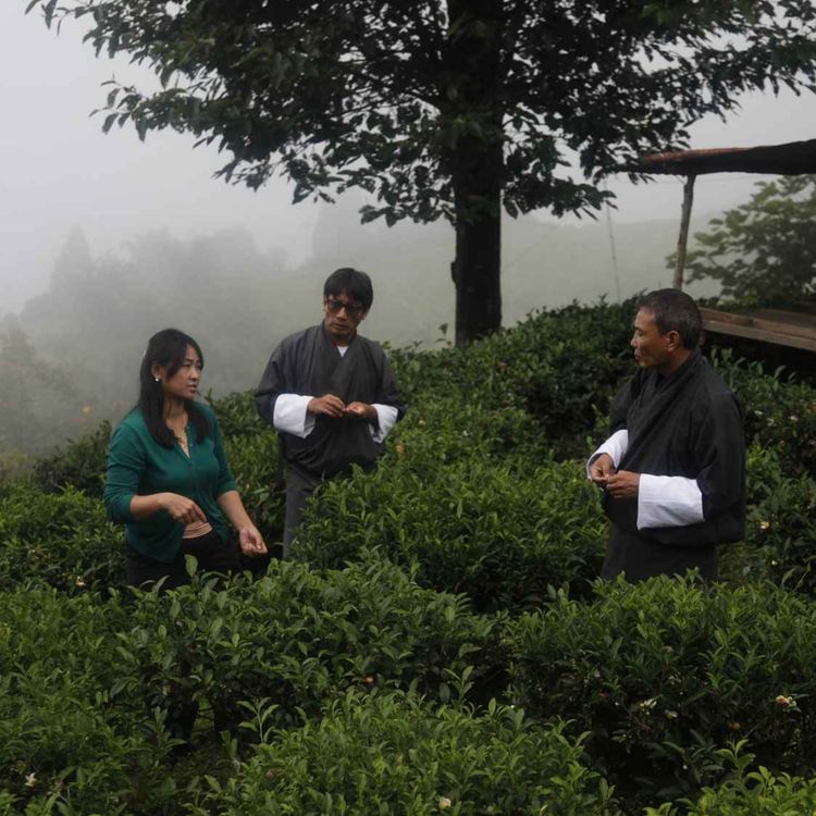 cover art for Le Bhoutan