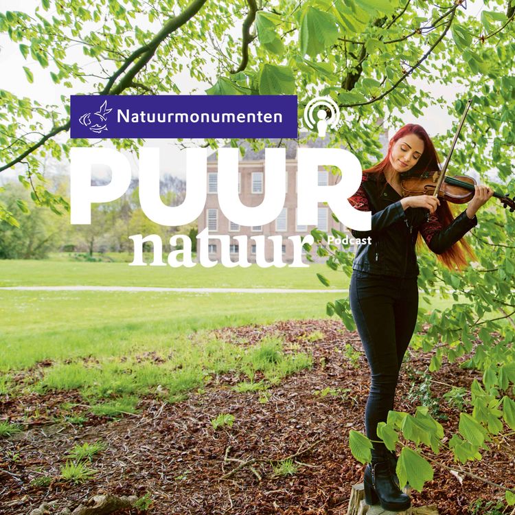 cover art for Puur Natuur: Violiste Judith van der Klip over natuur, muziek en het NMF Kamermuziekfestival