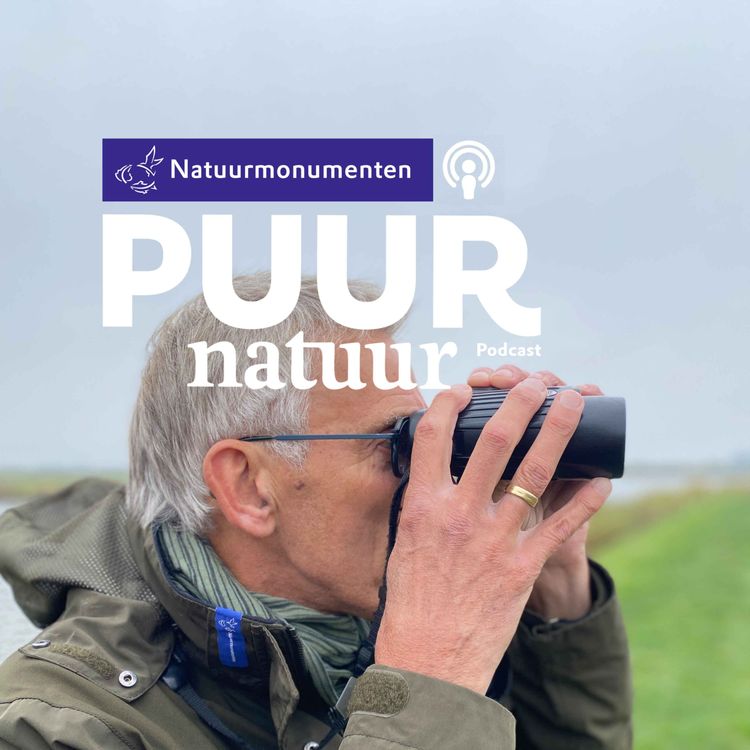 cover art for Puur Natuur: Vogelaar Gert Huizers over 50 (!) jaar vogels tellen in de Korendijkse Slikken