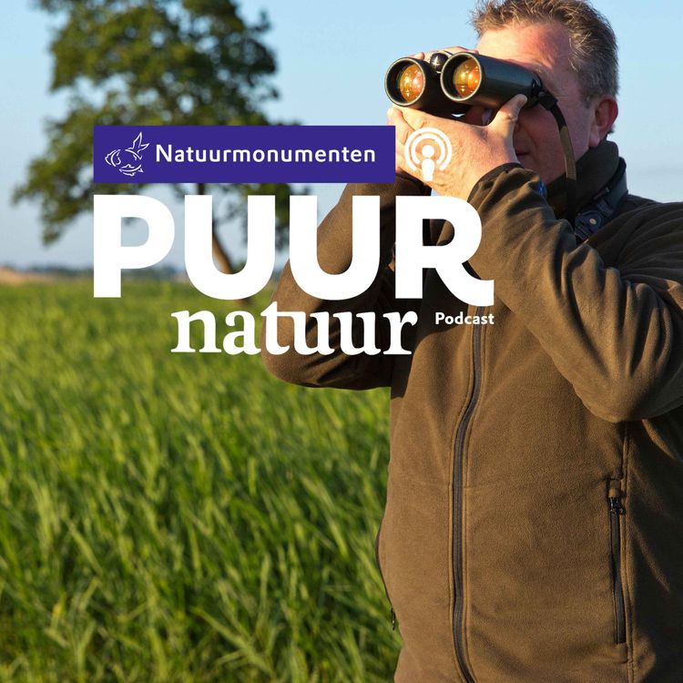 cover art for Puur Natuur: Boswachter Ronald Messemaker over het Kiersche Wijdepad in natuurgebied De Wieden