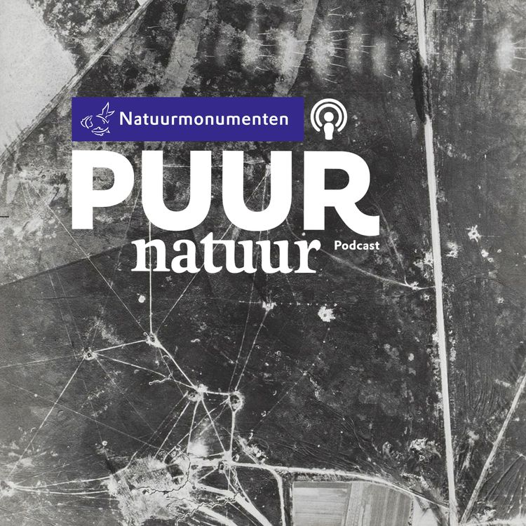 cover art for Puur Natuur: 75 jaar vrijheid de sporen van WOII in de natuur Deel 4: Veluwezoom