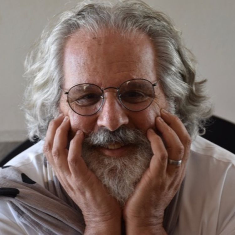 cover art for An interview with Daniel Bruce Levin