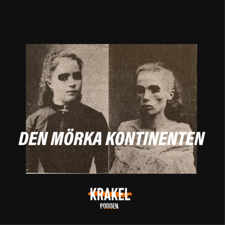 cover art for Den mörka kontinenten – kroppen, kvinnan och det splittrade jaget