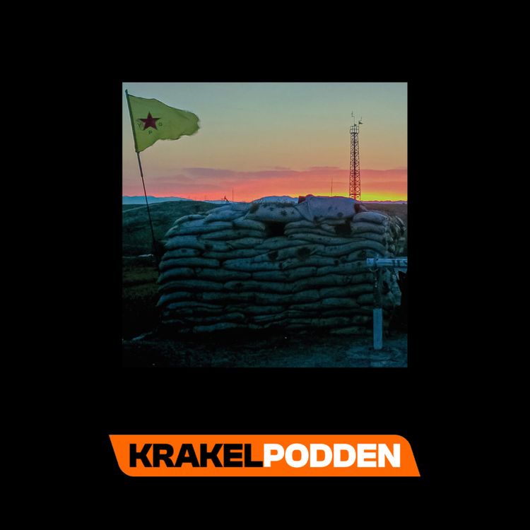 cover art for Ljuset i Rojava - boksläpp med Henrik Bromander