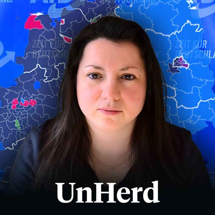 cover art for Katja Hoyer: How the AfD changed German politics
