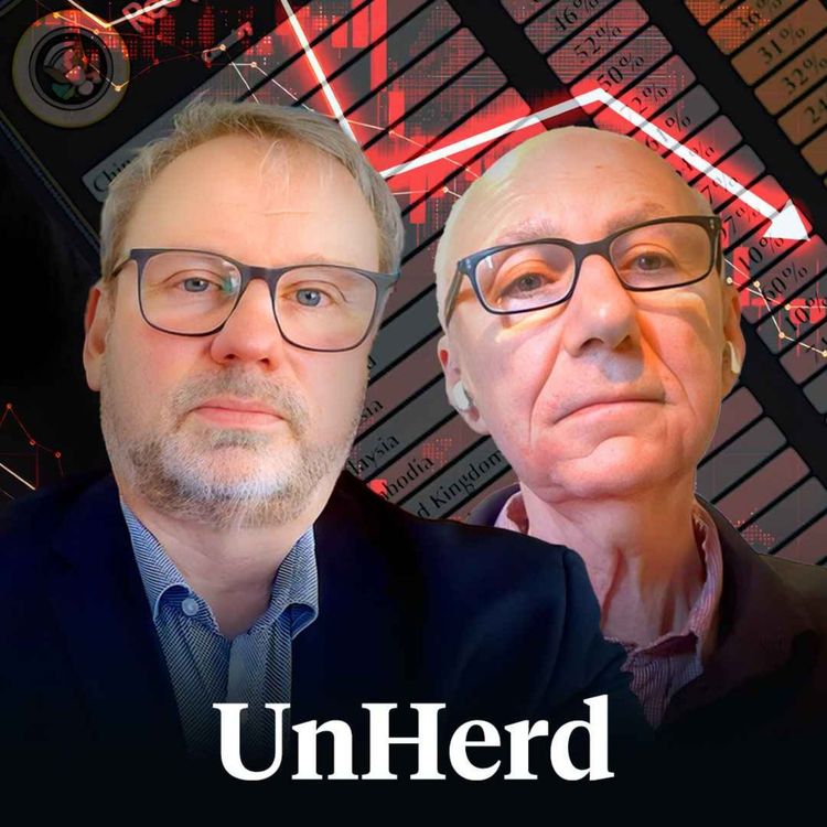 cover art for Stock market meltdown: What happens next?
