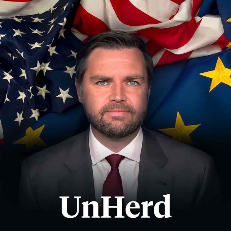cover art for The JD Vance interview - explained