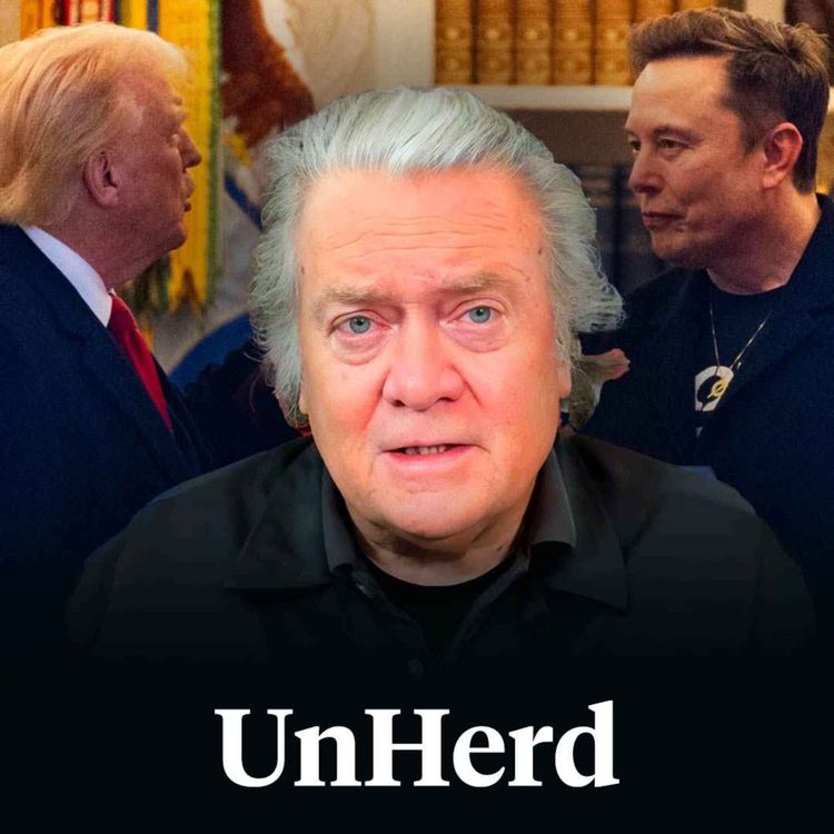 cover art for Steve Bannon: Elon Musk should be deported
