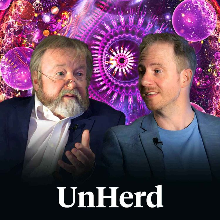 cover art for Iain McGilchrist & Philip Goff: Is the universe conscious?