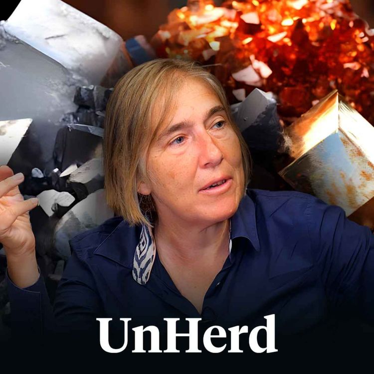 cover art for Helen Thompson: Rare earths - the next war?