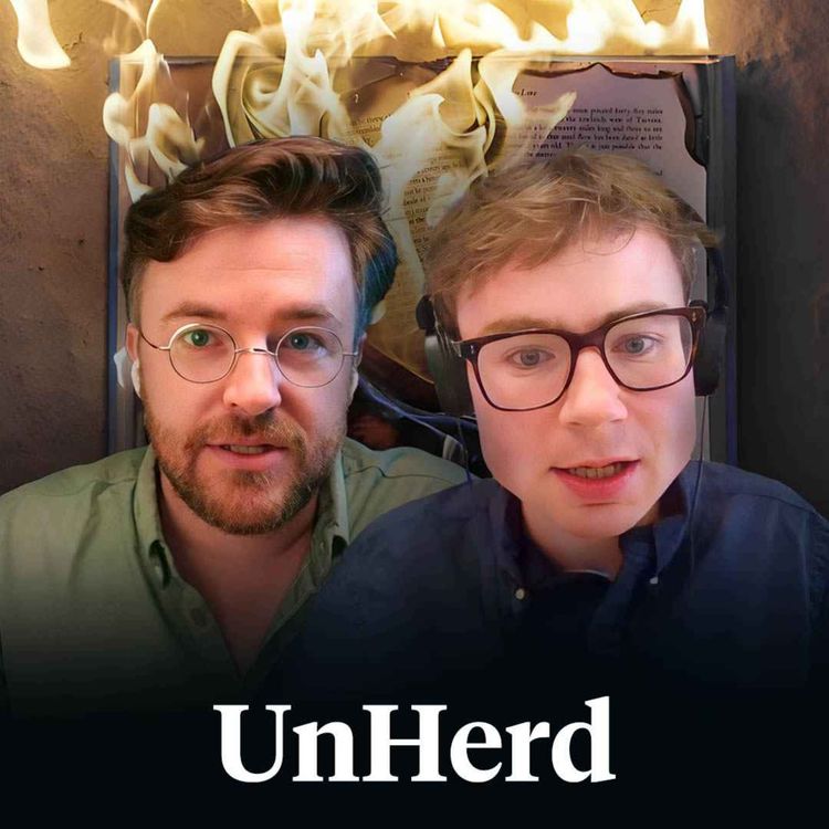 cover art for Is this the Disenlightenment?