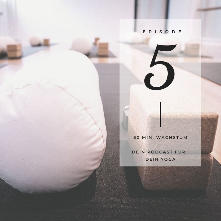 cover art for Flow No.5