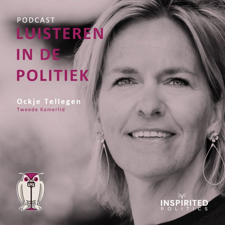 cover art for Luisteren in de politiek