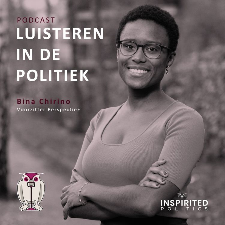 cover art for Luisteren in de politiek