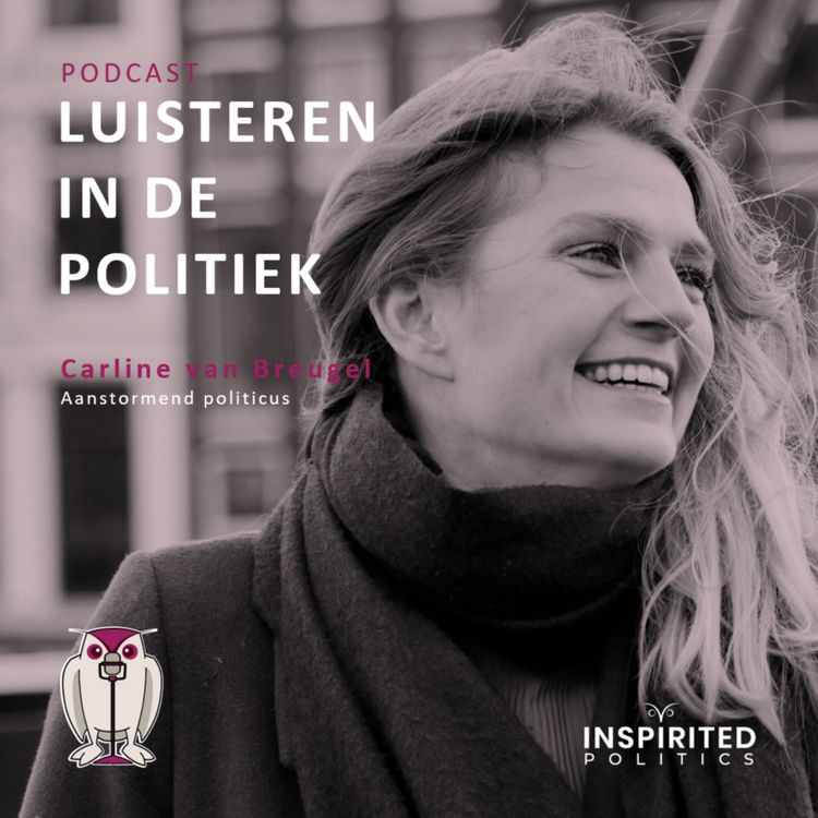 cover art for Luisteren in de politiek