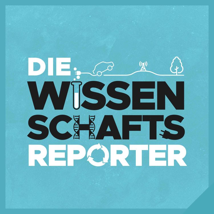 cover art for #26 Was erzählen Steine über den Ursprung des Lebens?
