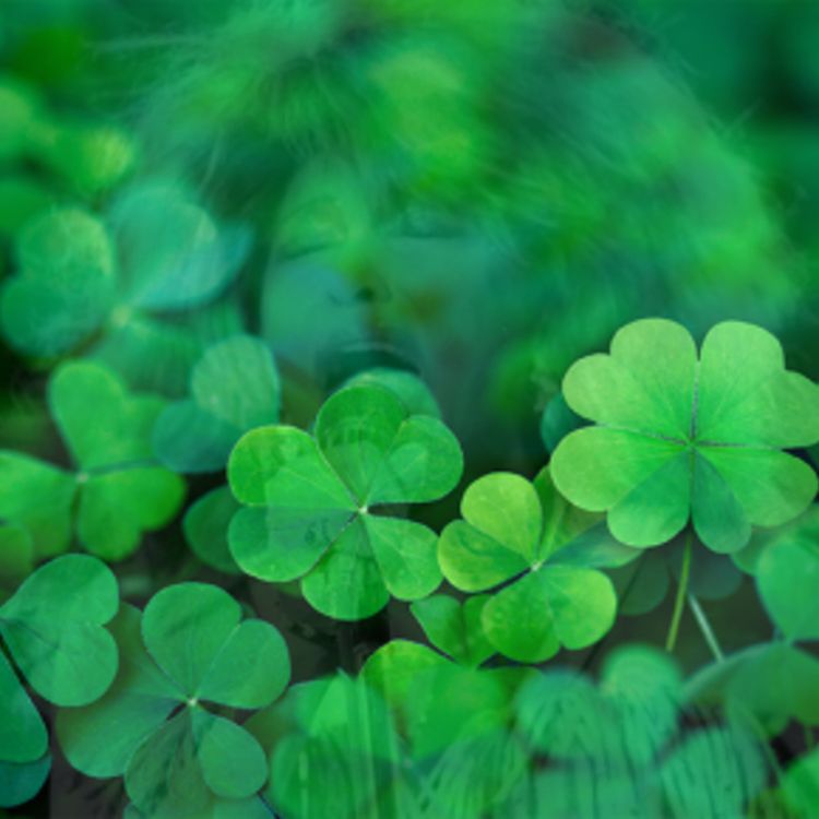 cover art for Café Brasil 701 – Sorte