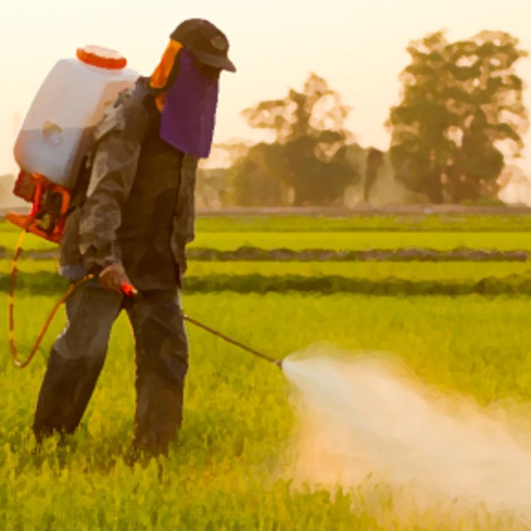cover art for Café Brasil 681 – Agrotóxicos: remédio ou veneno